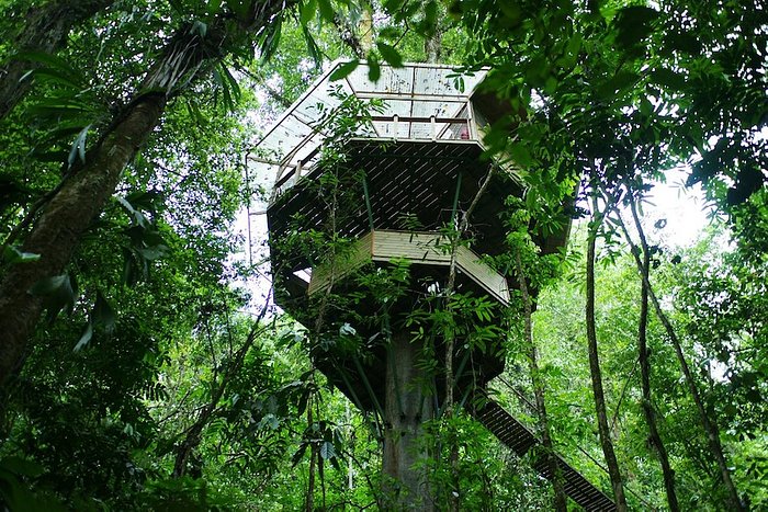 Finca Bellavista — Osa Peninsula, Costa Rica