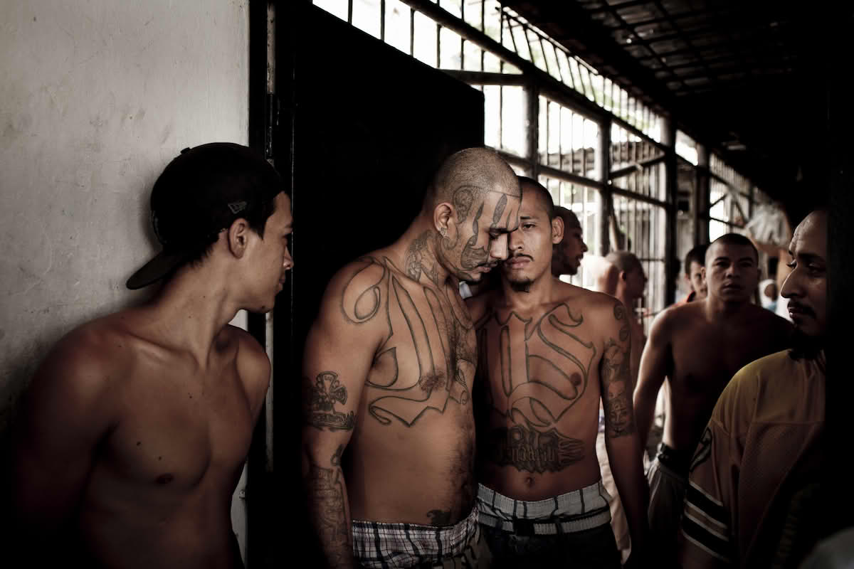 MS-13 (Mara Salvatrucha)