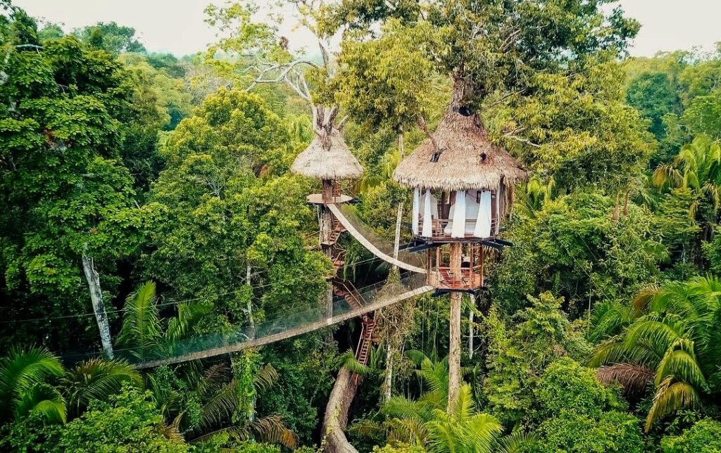Treehouse Lodge — Iquitos, Peru