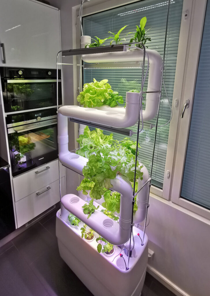 Indoor Hydroponic Kit